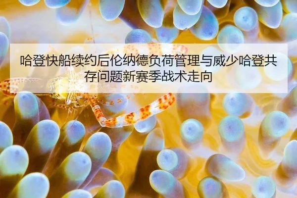 哈登快船续约后伦纳德负荷管理与威少哈登共存问题新赛季战术走向